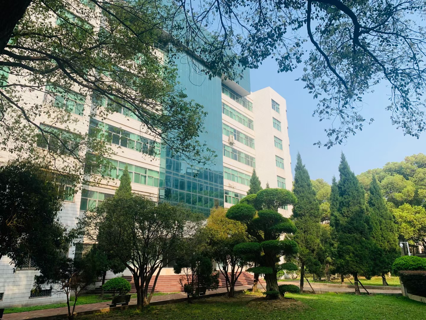 武汉三新职业技术学校